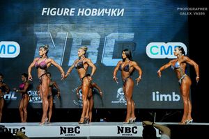 FIGURE НОВИЧКИ